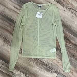 American Eagle Outfitters Sheer Long Sleeve Top in Light Green